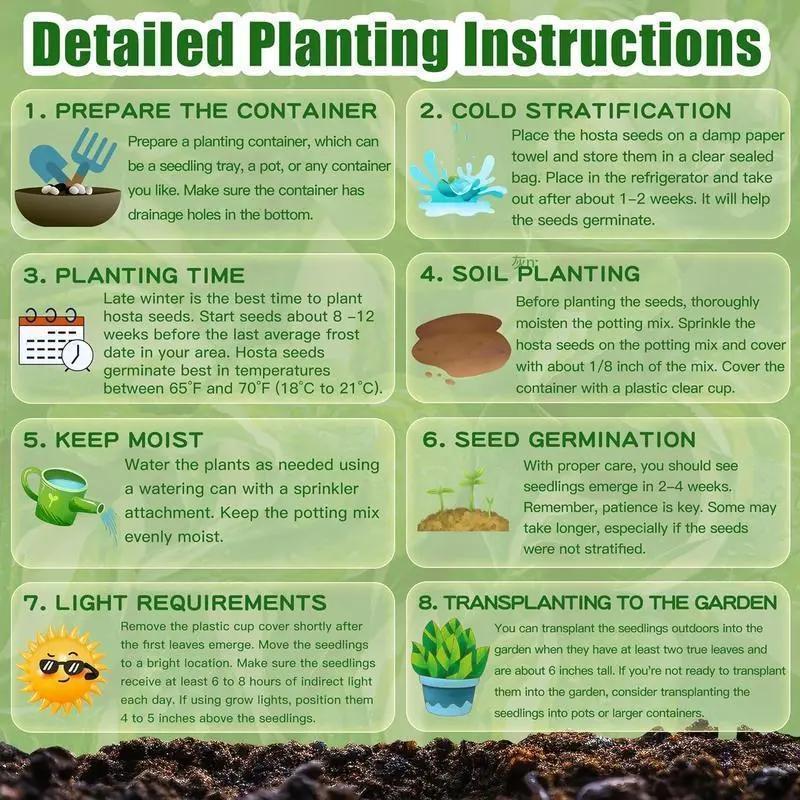 ✨Sweet Cherry Seeds – High Germination Rate, Large-Fruited Variety, Perfect for Gardens & Containers