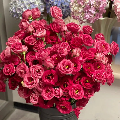 🔥🌺Low-maintenance Eustoma Flower Seeds🌈