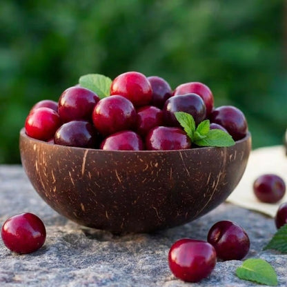 ✨Sweet Cherry Seeds – High Germination Rate, Large-Fruited Variety, Perfect for Gardens & Containers