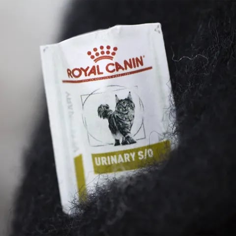 🎄Christmas Hot Sale - 49% OFF✨Wool Felt Familiars – Quirky Handmade Companions