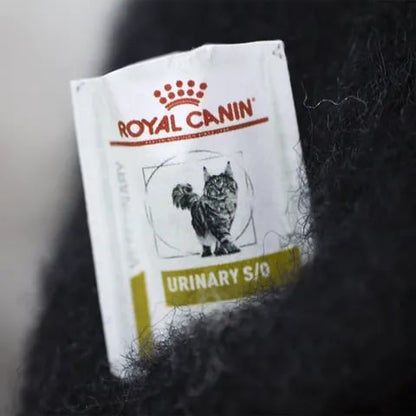 🎄Christmas Hot Sale - 49% OFF✨Wool Felt Familiars – Quirky Handmade Companions