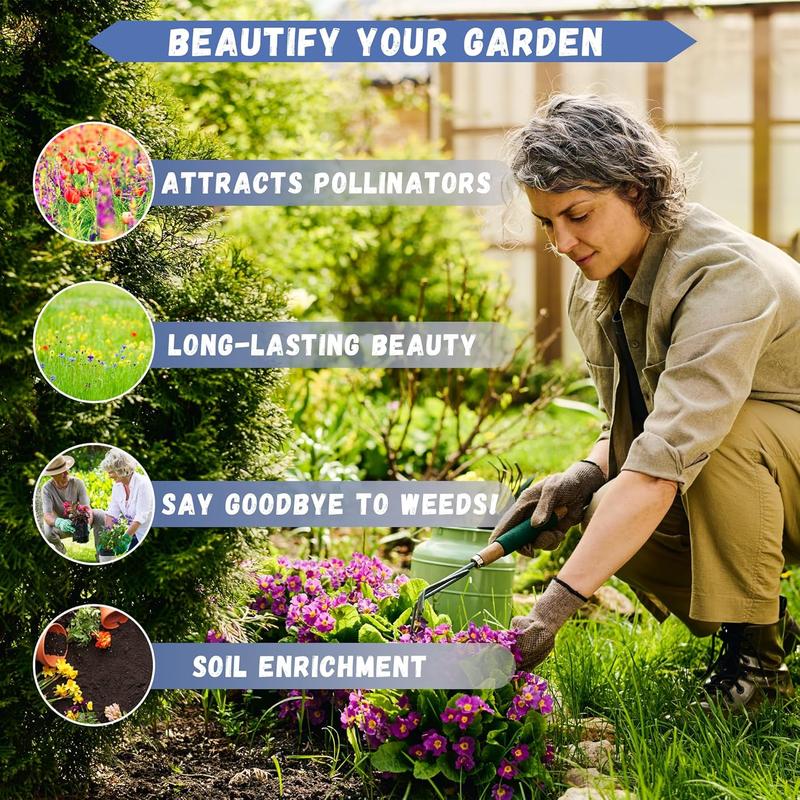 ✨Sweet Cherry Seeds – High Germination Rate, Large-Fruited Variety, Perfect for Gardens & Containers