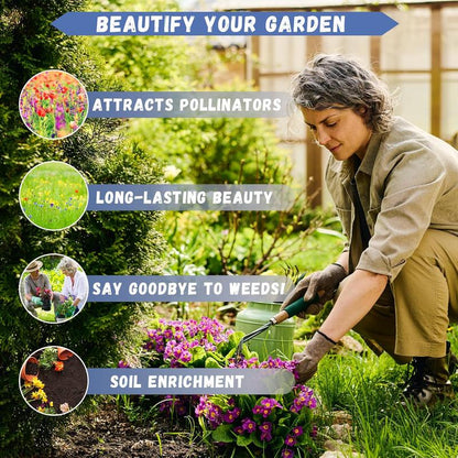 ✨Sweet Cherry Seeds – High Germination Rate, Large-Fruited Variety, Perfect for Gardens & Containers